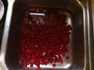 a sink full of cherries - if only I knew what to do with them